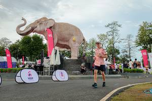 BIB: 
                            <button type="button" onclick="openModal(26528677)" class="btn btn-primary btn-sm float-right btn-popup" data-toggle="modal" data-target=".modal-high-quality">
                        <i class="fas fa-shopping-cart"></i> Add to Cart
                    </button>
                                            <button type="button" onclick="isThisMe(26528677, true)" class="btn btn-success btn-sm float-right btn-popup btn-isme hidden" data-toggle="tooltip" data-placement="bottom" title="นี่คือรูปของคุณใช่ไหม คลิกที่นี่เพื่อเอาเข้าอัลบั้ม">
                        <i class="fas fa-plus"></i> Add to album
                    </button>
                    <button type="button" onclick="isThisMe(26528677, false)" class="btn btn-warning btn-sm float-right btn-popup btn-isnotme hidden">
                        <i class="fas fa-ban"></i> Remove from album
                    </button>